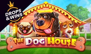 The Dog House