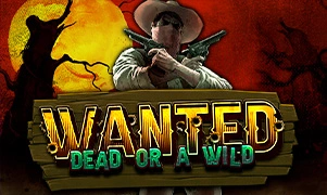 Wanted Dead or a Wild
